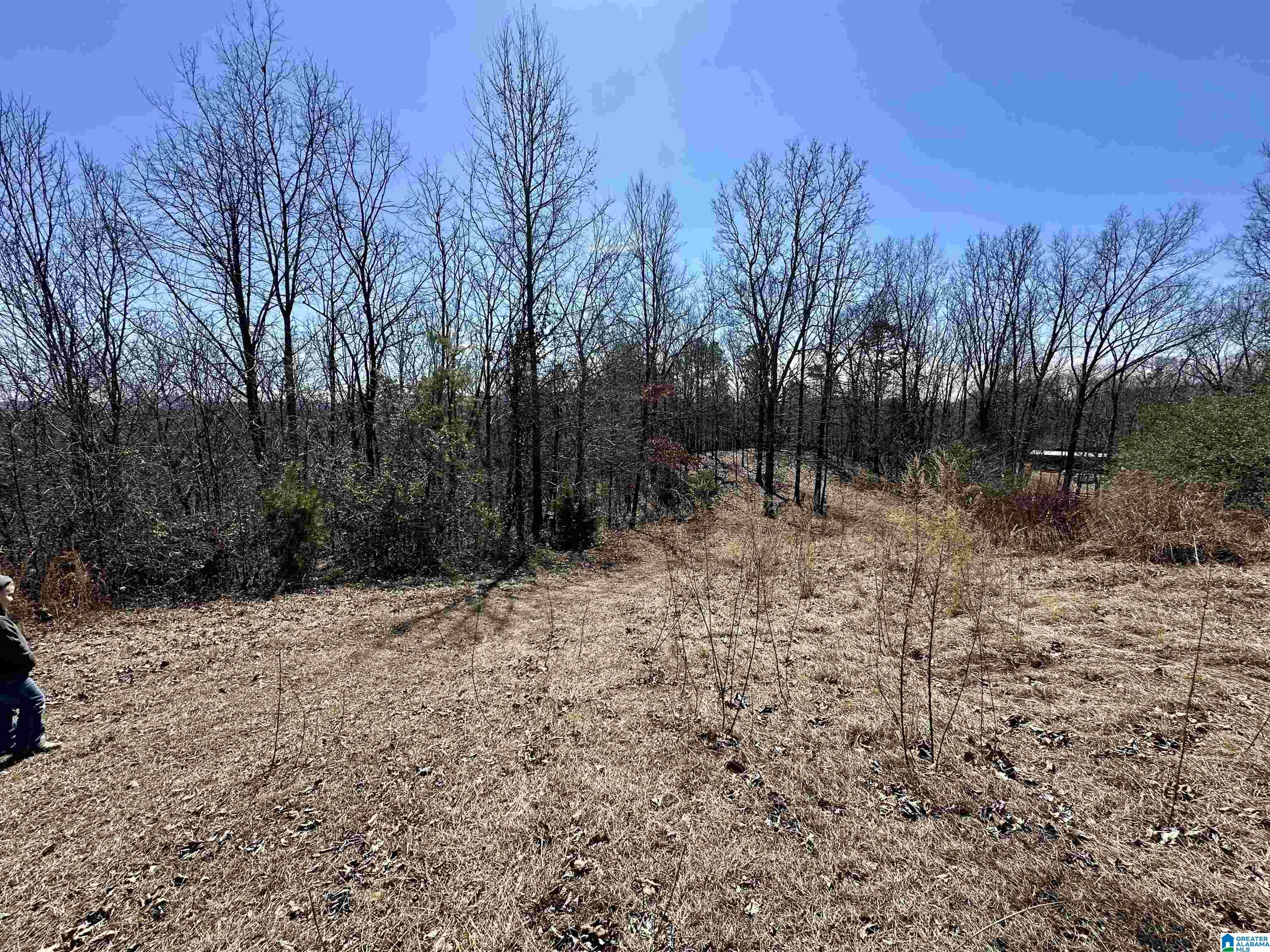0 Blue Ridge Drive Talladega, AL 35160 - Photo 4 of 14