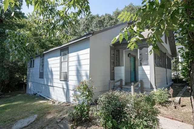 a backyard of a house with plants and large trees
