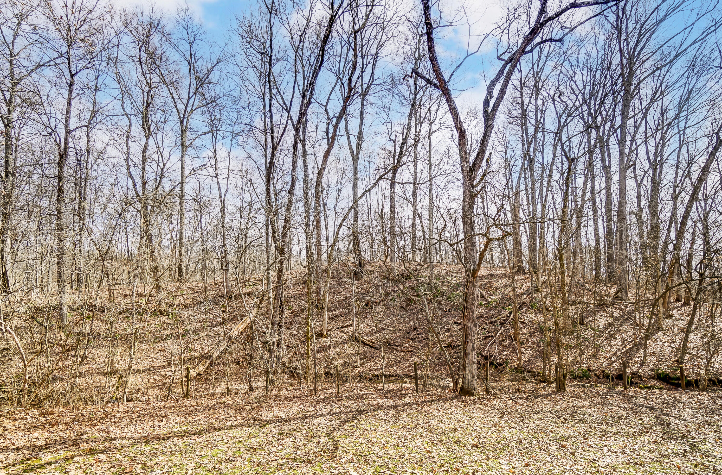 11143 Washington Trace Road California, KY 41007 - Photo 31 of 33