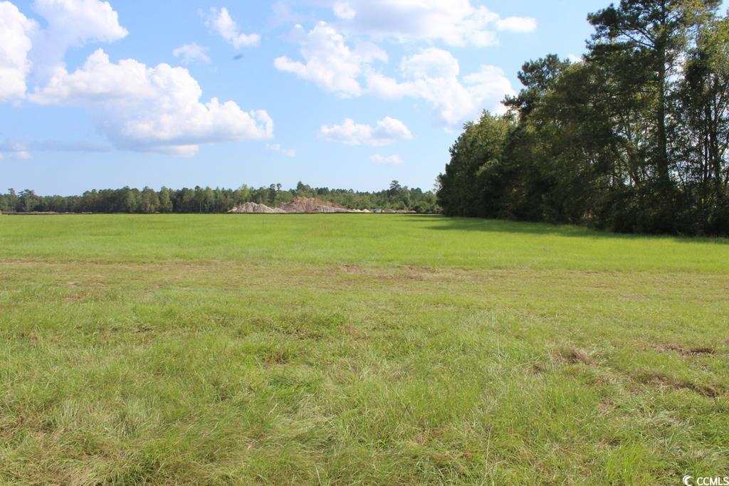 954 Log Cabin Road Loris, SC 29569 - Photo 26 of 33 Gallery Image 26
