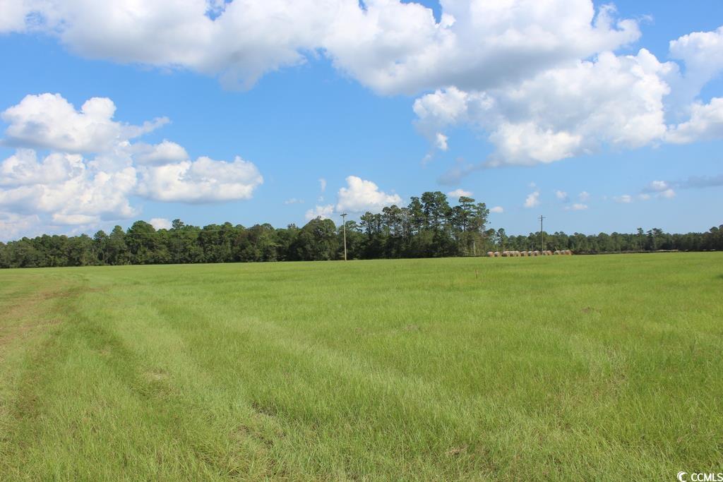 954 Log Cabin Road Loris, SC 29569 - Photo 27 of 33 Gallery Image 27