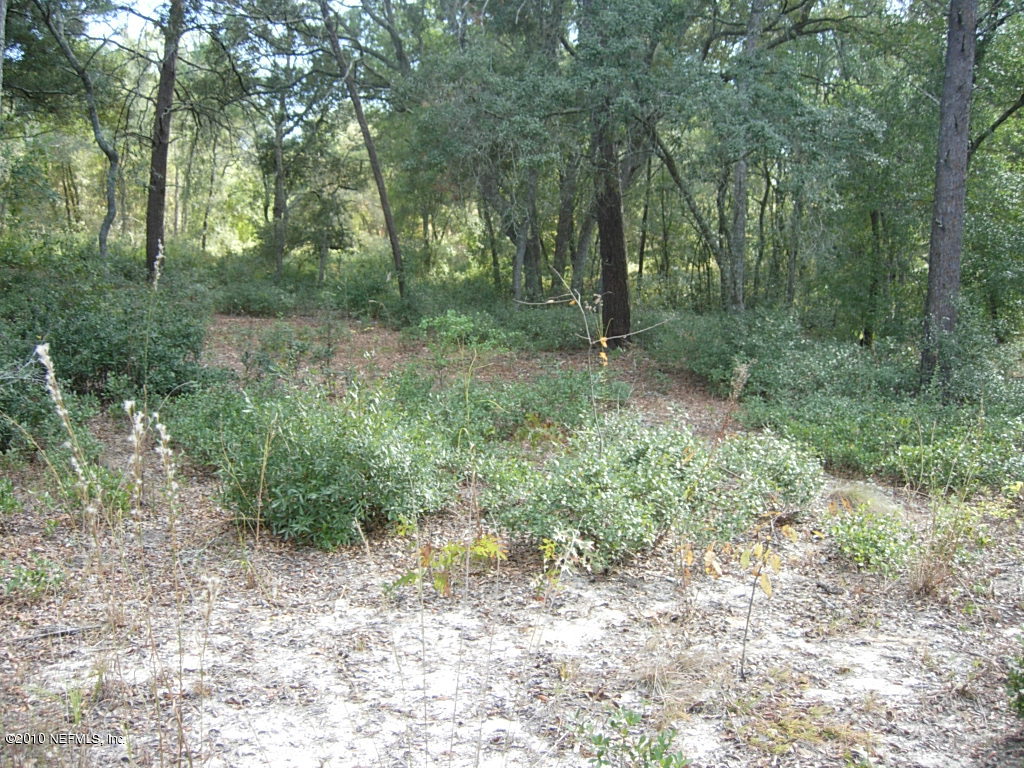 Na-7 Bellamy Road Melrose, FL 32666 - Photo 1 of 1 Property