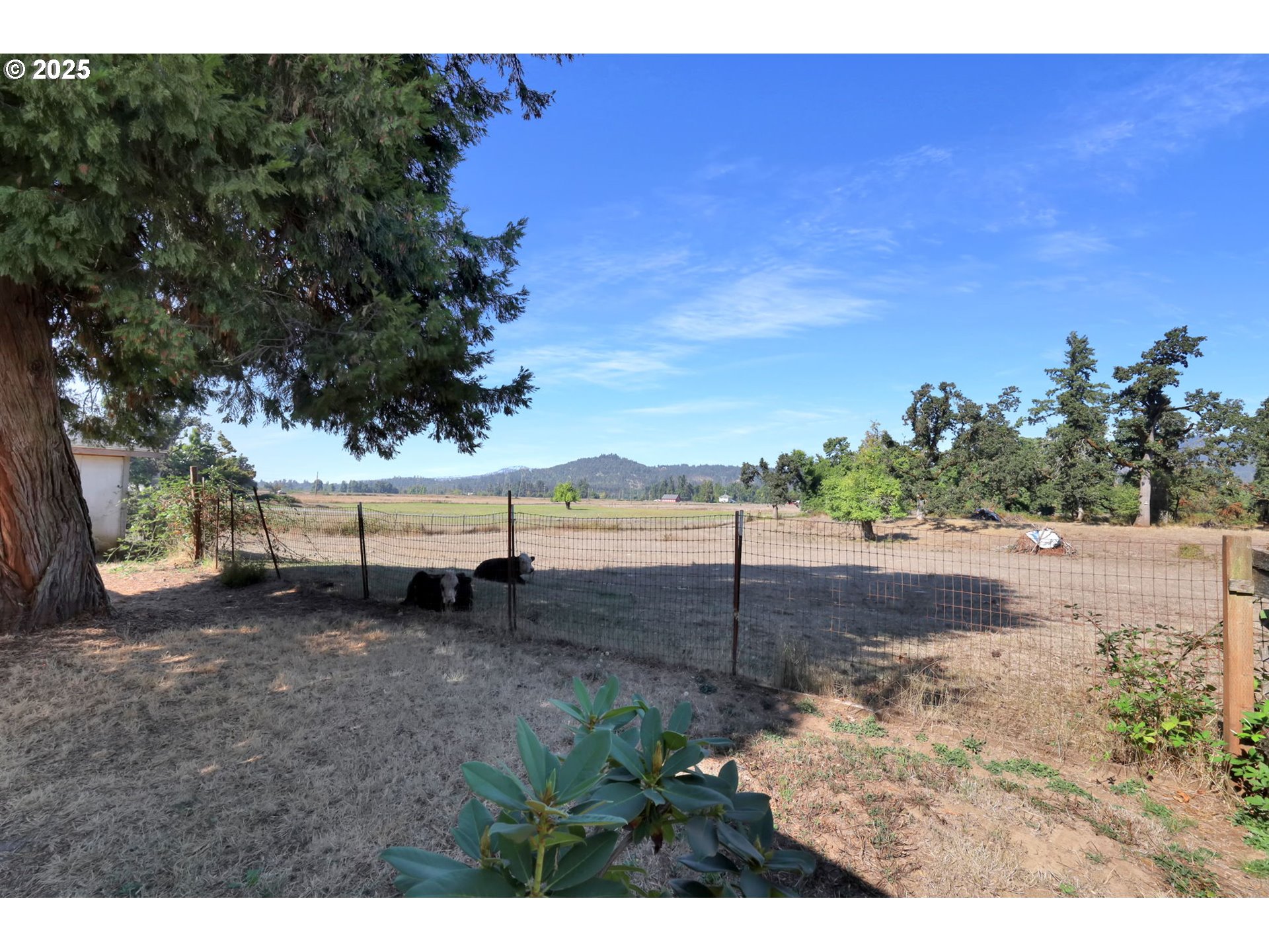 1125 58th Street, Unit 96 Springfield, OR 97478 - Photo 23 of 28