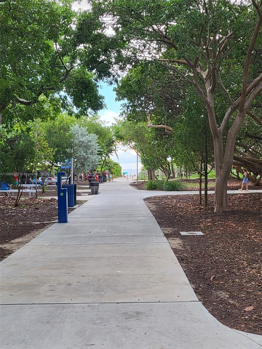 8425 Harding Avenue, Unit 1 Miami Beach, FL 33141 - Photo 13 of 16 a park view with large trees