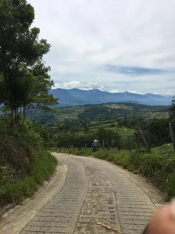 a view of a road with an ocean view