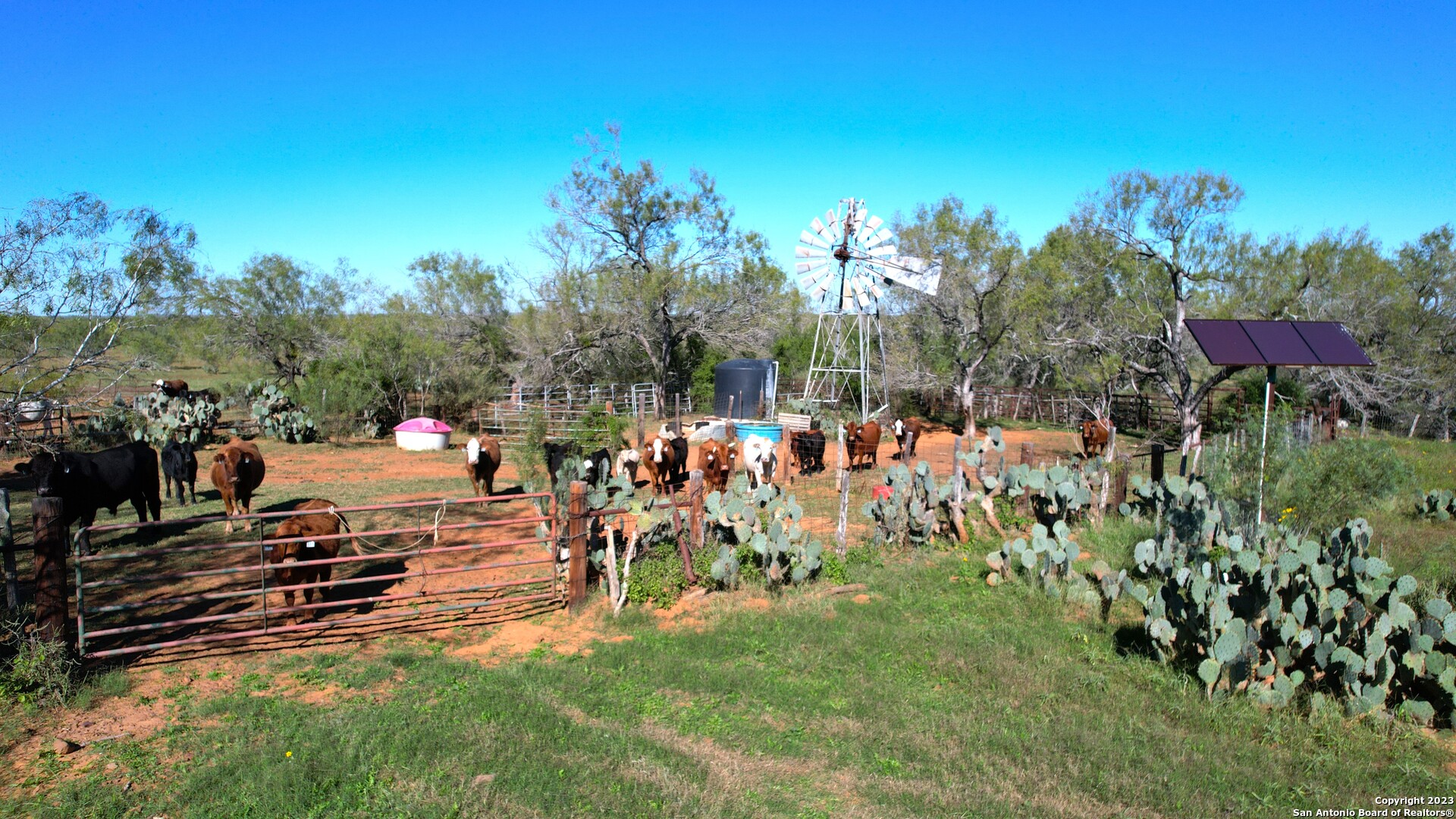 1913 County Road 3000 Pearsall, TX 78061 - Photo 16 of 38 a view of a park with large trees
