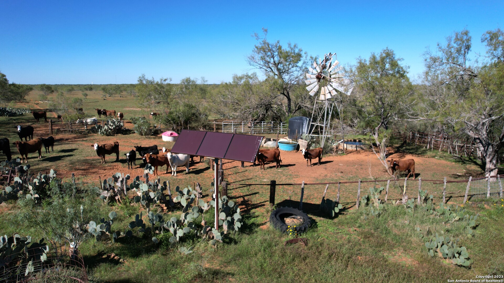 1913 County Road 3000 Pearsall, TX 78061 - Photo 17 of 38 a view of outdoor space and yard
