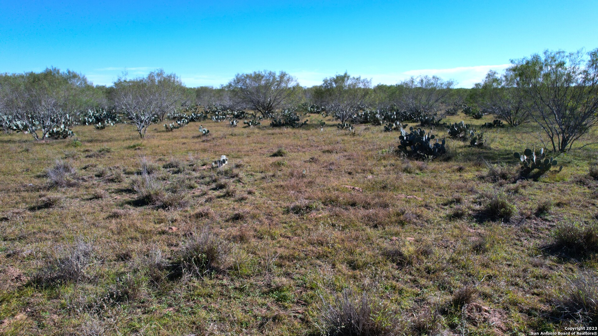 1913 County Road 3000 Pearsall, TX 78061 - Photo 27 of 38 a view of a dry field with trees in the background