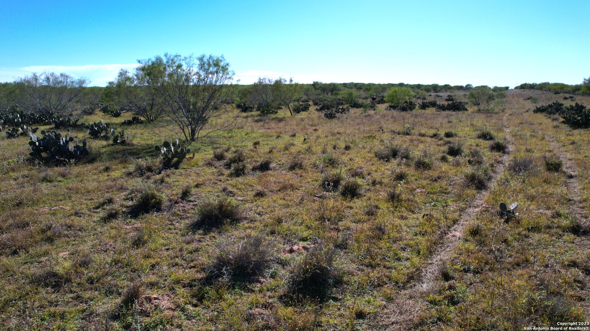 1913 County Road 3000 Pearsall, TX 78061 - Photo 28 of 38 a view of a covered with trees in the background