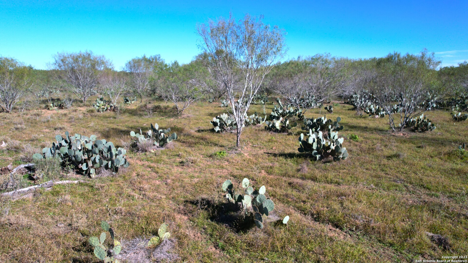 1913 County Road 3000 Pearsall, TX 78061 - Photo 29 of 38 a view of a yard with a table and chairs