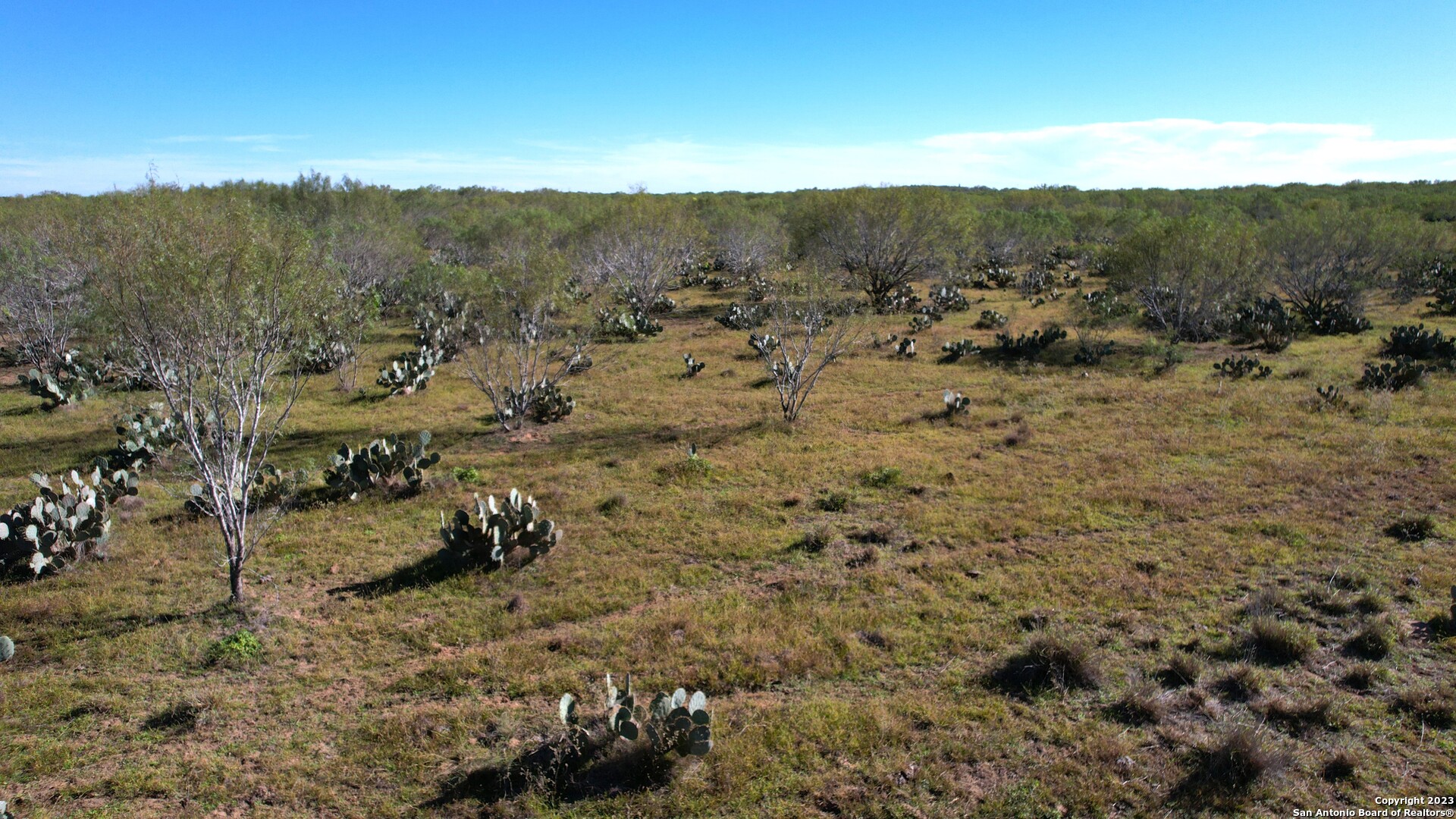 1913 County Road 3000 Pearsall, TX 78061 - Photo 33 of 38 a view of outdoor space and mountain view