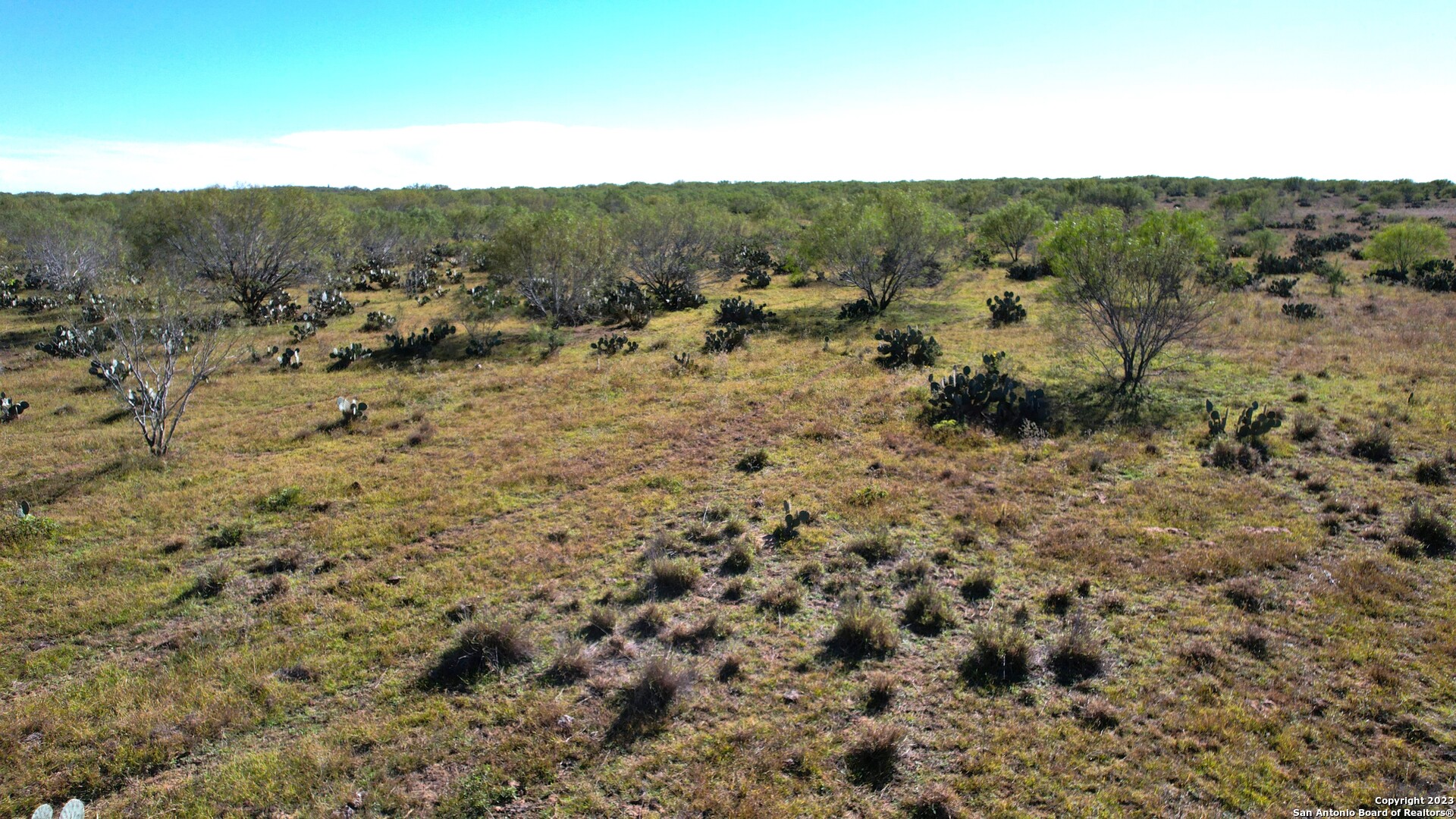 1913 County Road 3000 Pearsall, TX 78061 - Photo 34 of 38 a view of a dry yard with mountains in the background