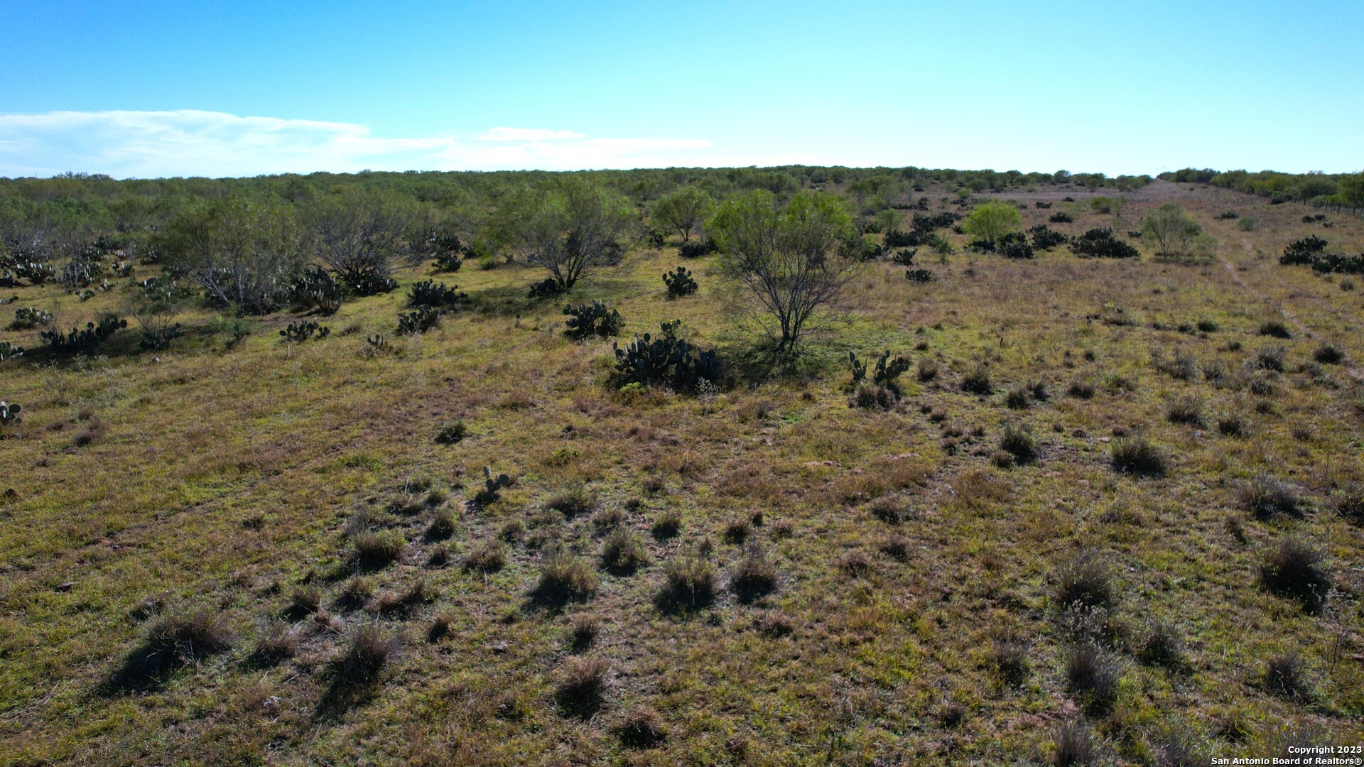 1913 County Road 3000 Pearsall, TX 78061 - Photo 35 of 38 a view of a dry mountains with green field