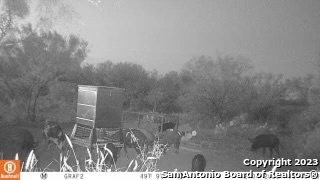 1913 County Road 3000 Pearsall, TX 78061 - Photo 37 of 38 a view of a wooden floor