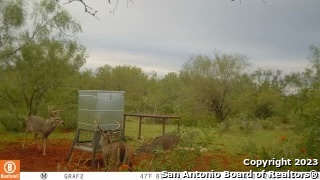 1913 County Road 3000 Pearsall, TX 78061 - Photo 38 of 38 a view of outdoor space and yard