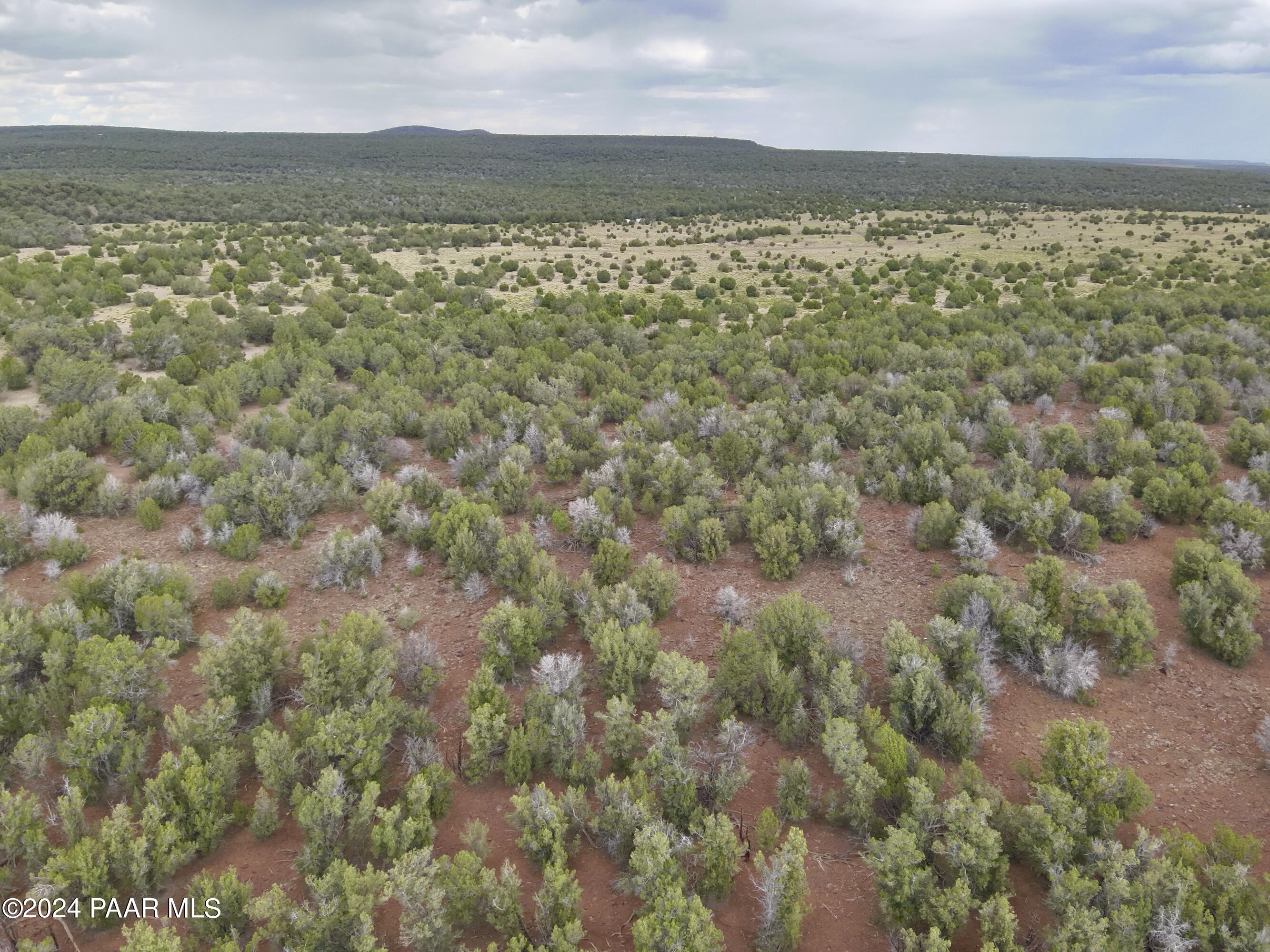 11189 Huckleberry Road Williams, AZ 86046 - Photo 11 of 13 a view of lake and mountain