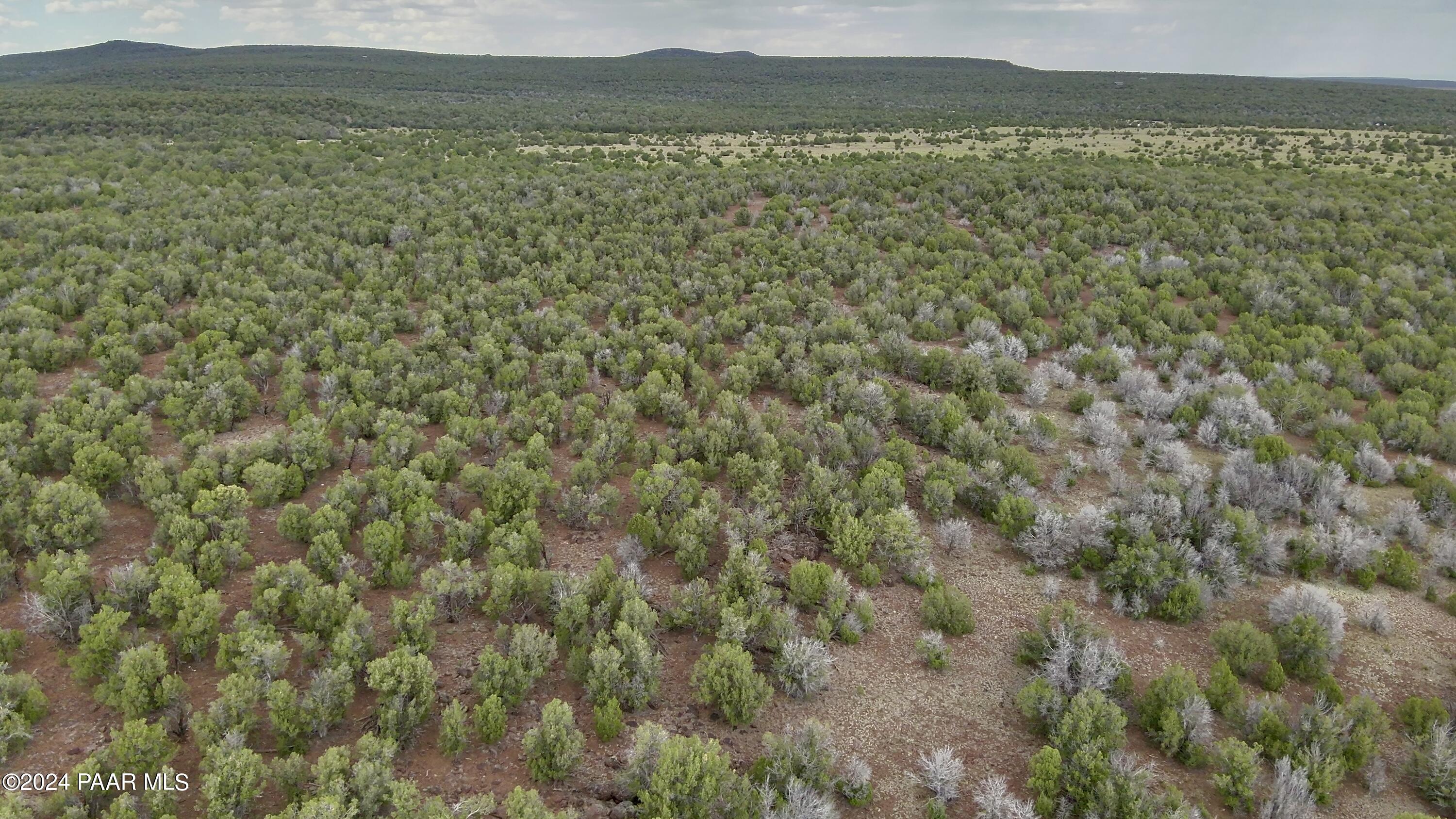 11189 Huckleberry Road Williams, AZ 86046 - Photo 12 of 13 a view of a lake with a mountain