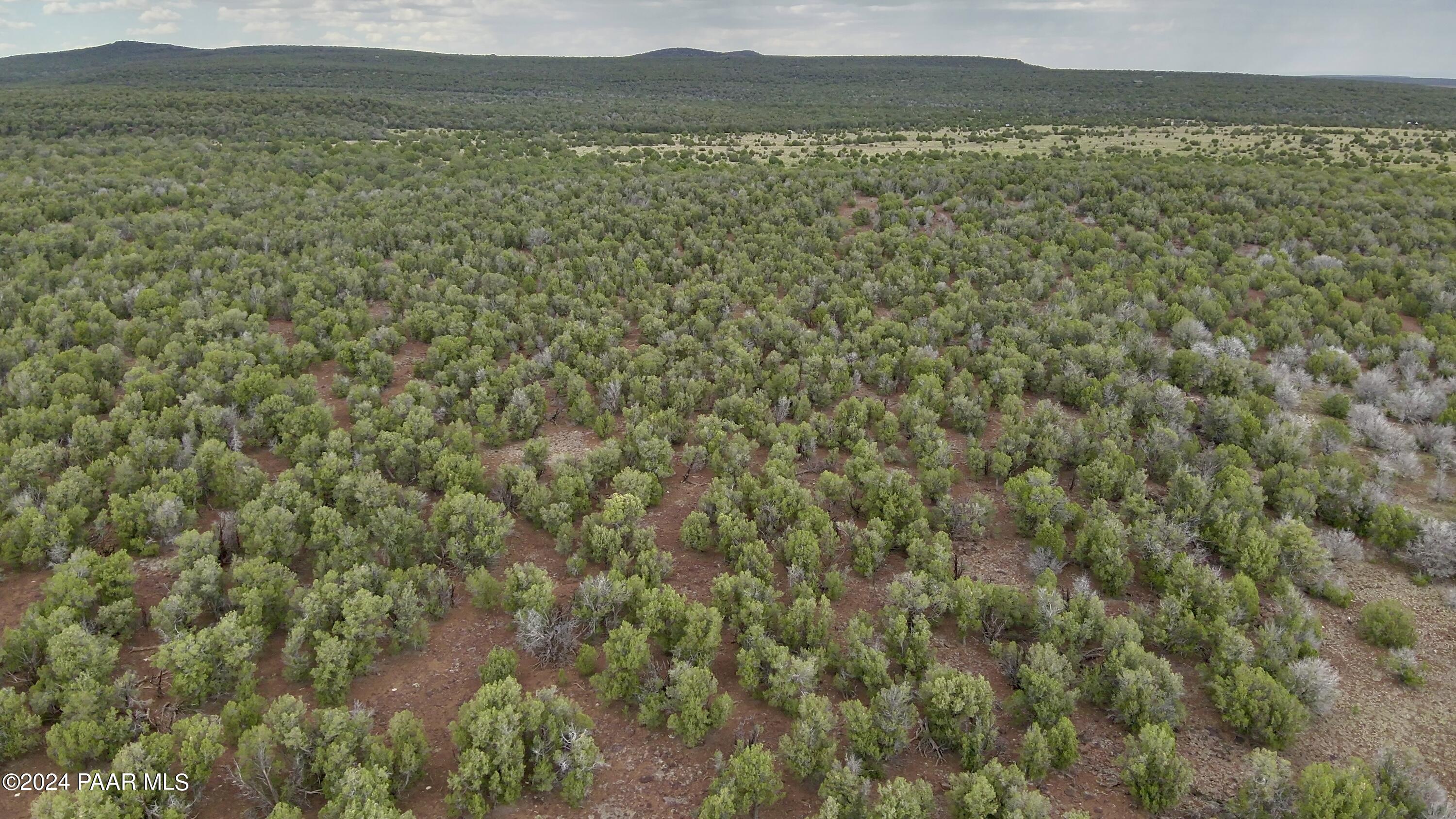 11189 Huckleberry Road Williams, AZ 86046 - Photo 13 of 13 a view of a lake with a mountain