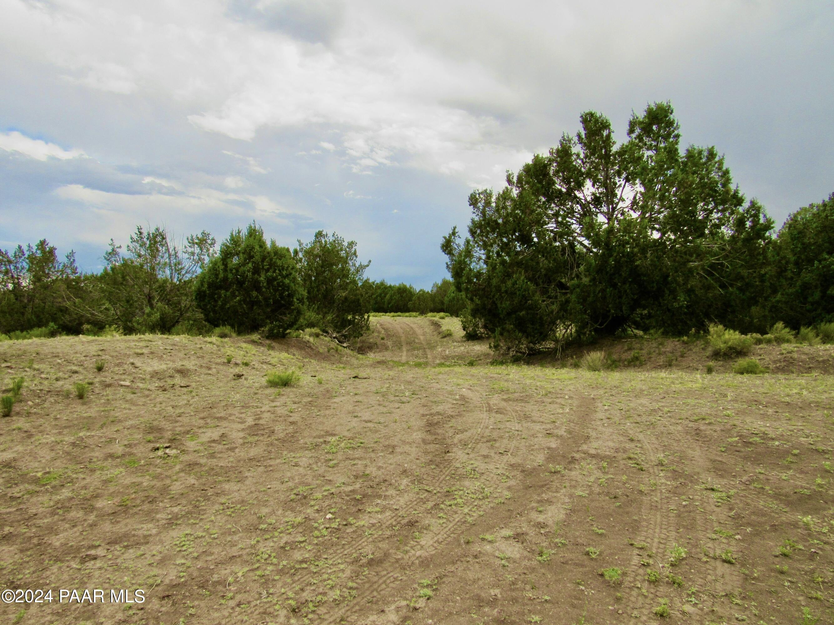 11189 Huckleberry Road Williams, AZ 86046 - Photo 6 of 13 a view of a yard