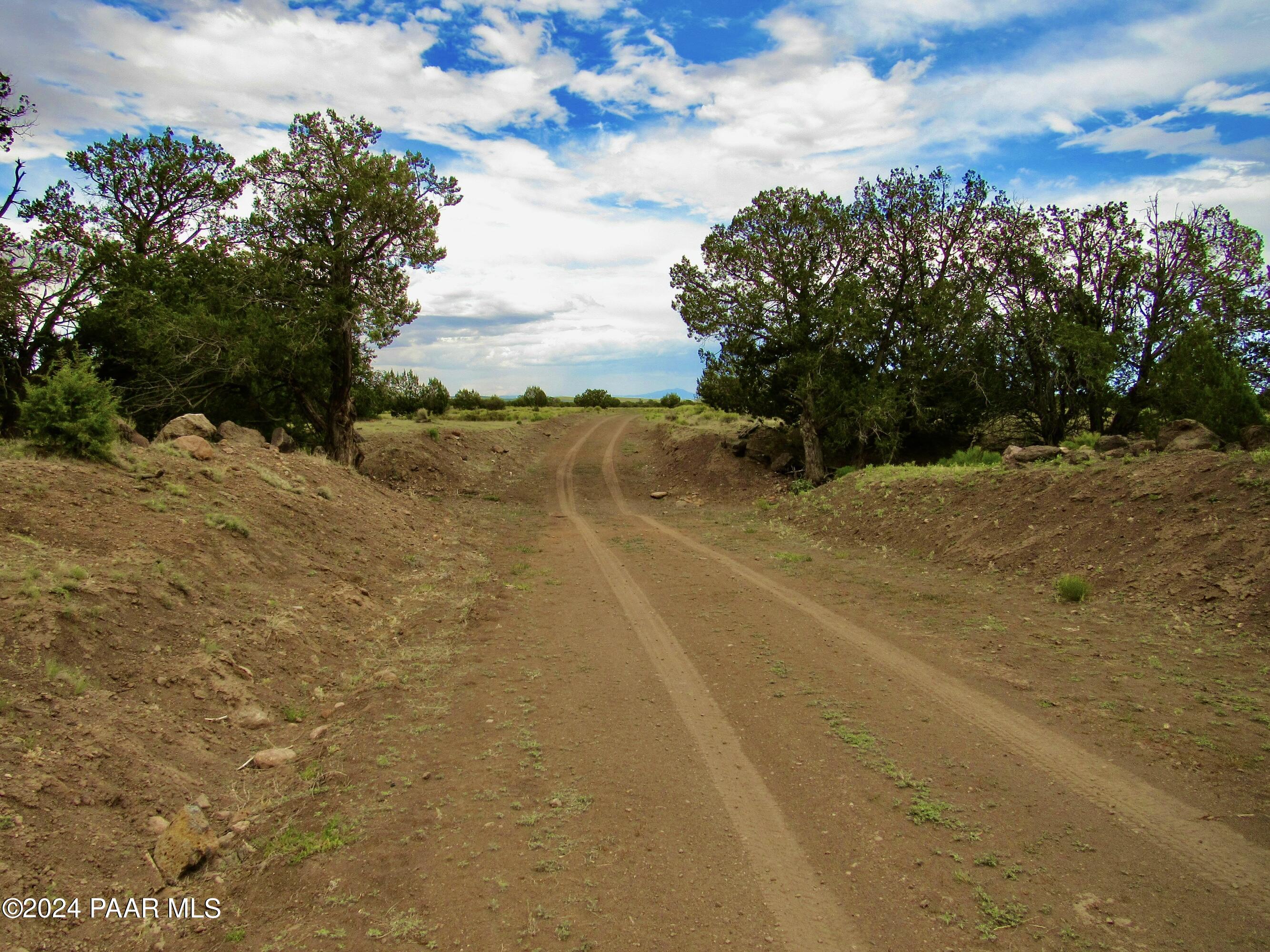 11189 Huckleberry Road Williams, AZ 86046 - Photo 7 of 13 a view of a yard