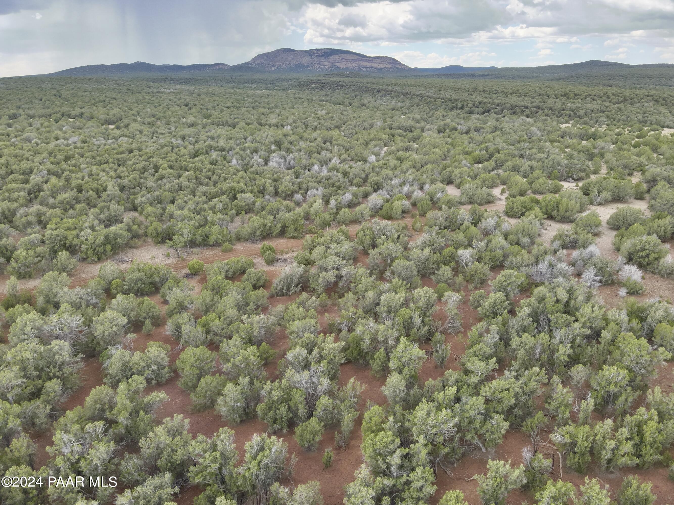 11189 Huckleberry Road Williams, AZ 86046 - Photo 9 of 13 a view of an outdoor space and a mountain view