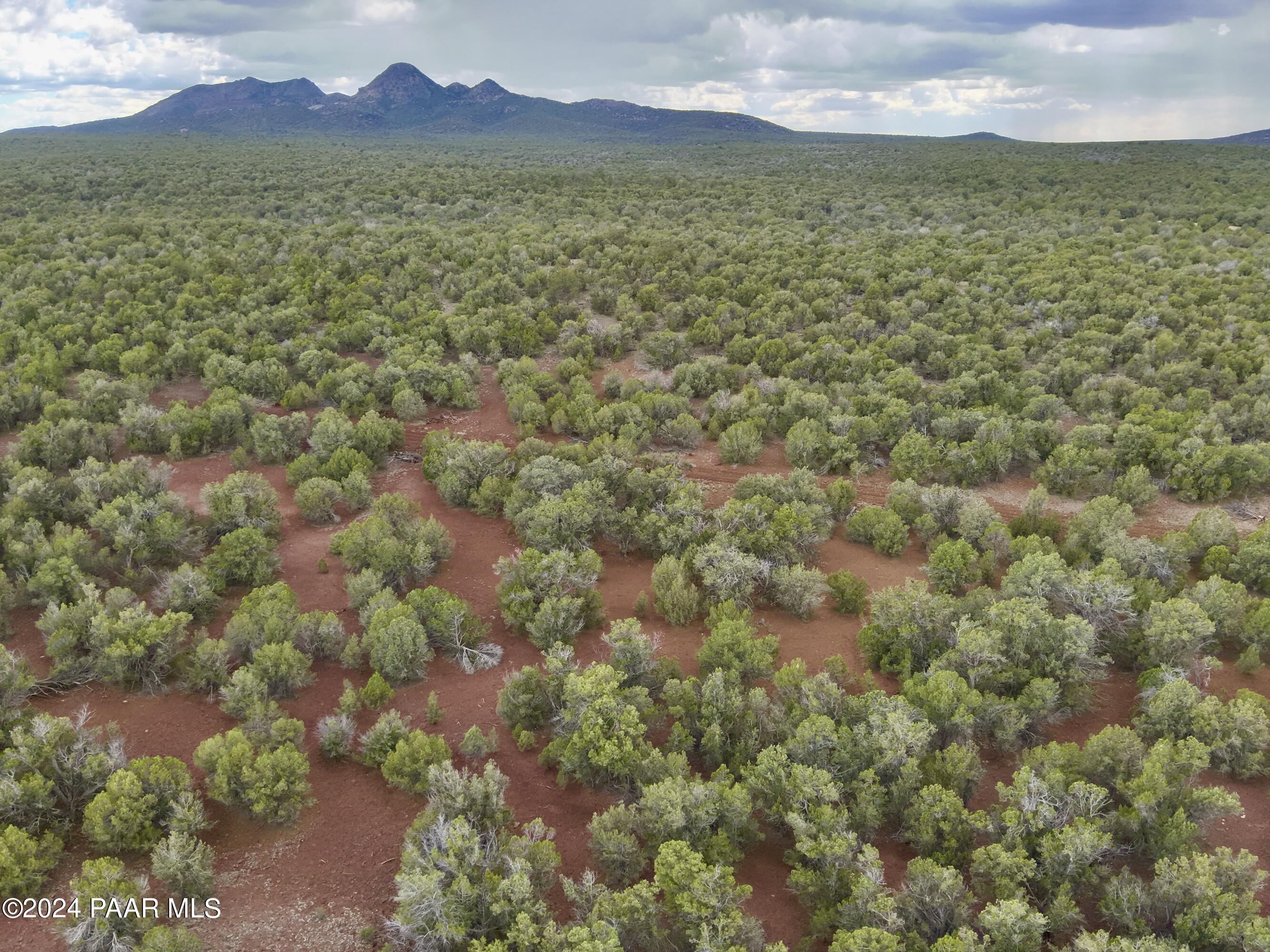 11189 Huckleberry Road Williams, AZ 86046 - Photo 10 of 13 a view of lake and mountain