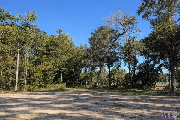 $250,000 | Lots Tbd Lots Tbd Live Oak Drive, Denham Springs, LA 70706