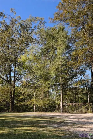 $250,000 | Lots Tbd Lots Tbd Live Oak Drive, Denham Springs, LA 70706