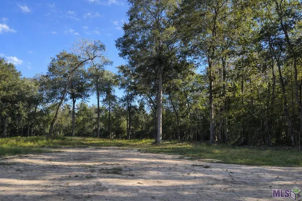 $250,000 | Lots Tbd Lots Tbd Live Oak Drive, Denham Springs, LA 70706