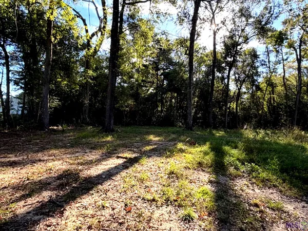 $250,000 | Lots Tbd Lots Tbd Live Oak Drive, Denham Springs, LA 70706