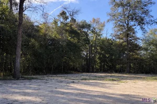 $250,000 | Lots Tbd Lots Tbd Live Oak Drive, Denham Springs, LA 70706