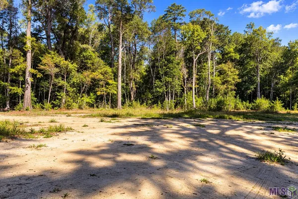 $250,000 | Lots Tbd Lots Tbd Live Oak Drive, Denham Springs, LA 70706