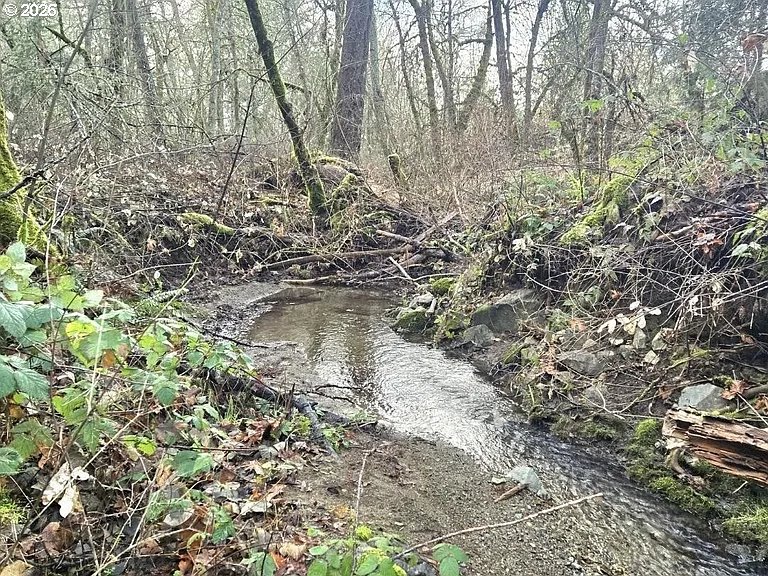 1065 Panther Gulch Road Williams, OR 97544 - Photo 11 of 14