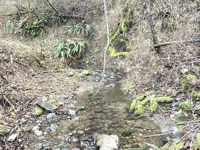 1065 Panther Gulch Road Williams, OR 97544 - Photo 12 of 14