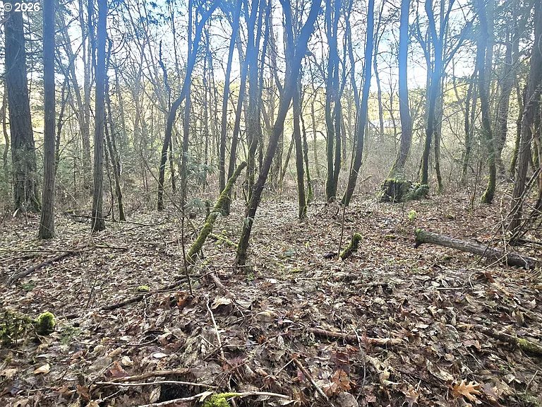 1065 Panther Gulch Road Williams, OR 97544 - Photo 13 of 14