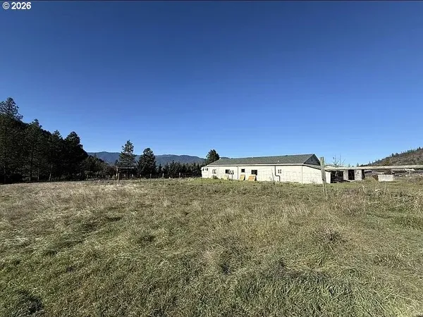a view of a big yard