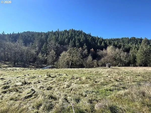 a view of a yard with a tree