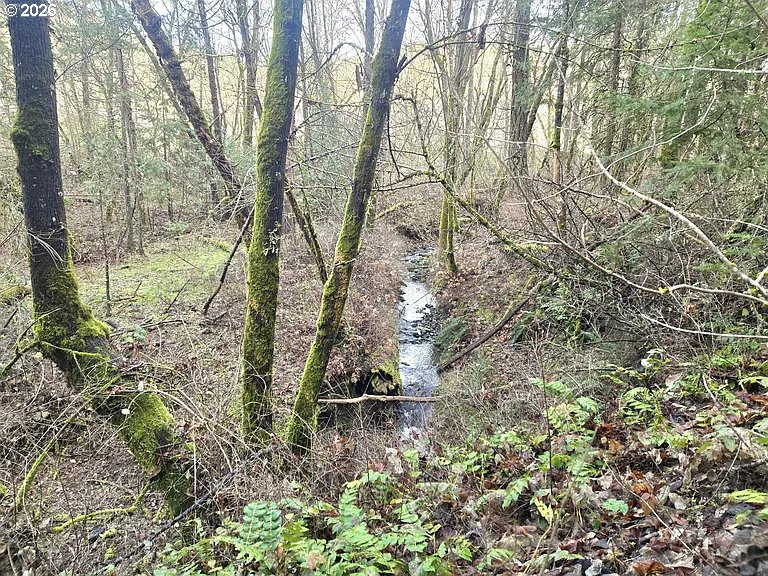 1065 Panther Gulch Road Williams, OR 97544 - Photo 10 of 14