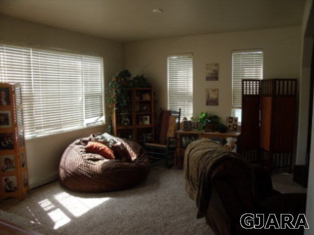 3189 F F 1/2 Road Grand Junction, CO 81504 - Photo 7 of 15 Gallery Image 7