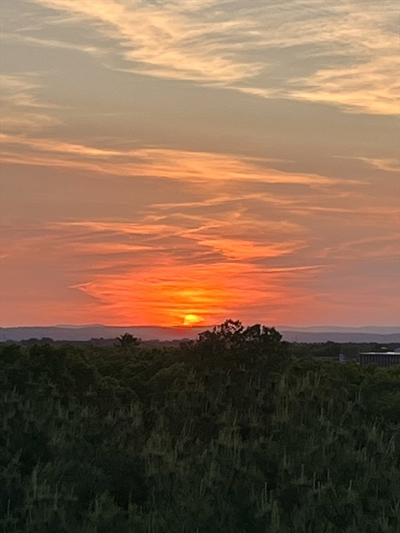 2205 Boston Road, Unit Q160 Wilbraham, MA 01095 - Photo 40 of 41