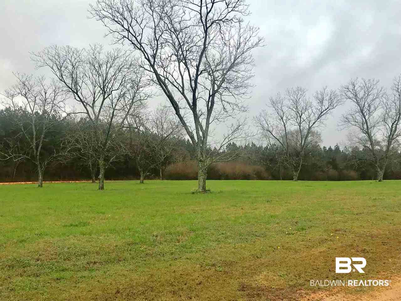 Lot 1 Pecan Orchard Road Monroeville, AL 36460 - Photo 1 of 2