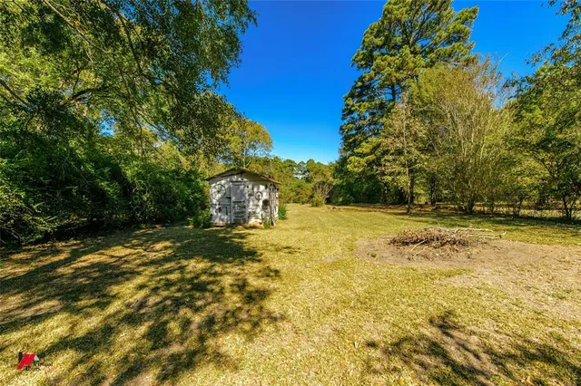 a view of a backyard