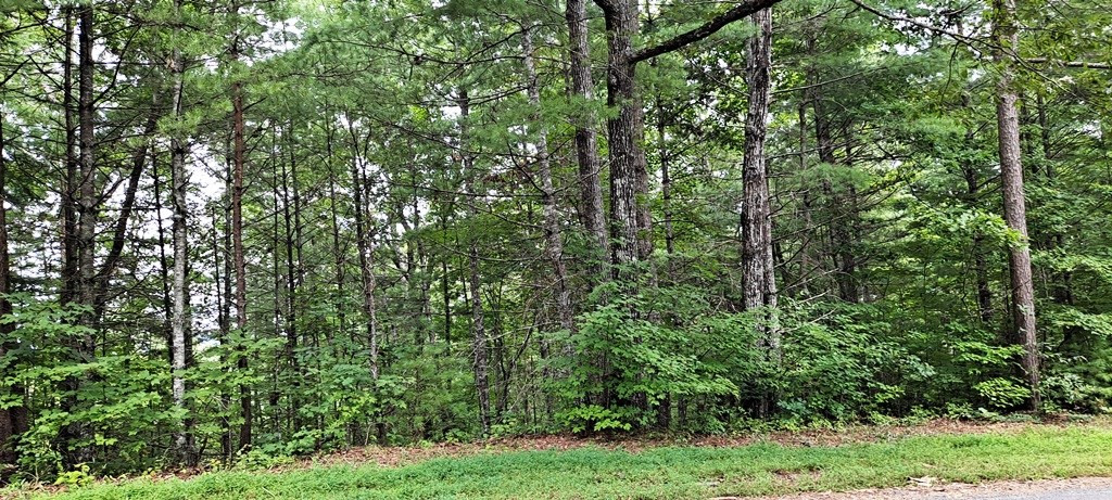 6.02-ac River Hill Road Murphy, NC 28906 - Photo 8 of 14 Gallery Image 8
