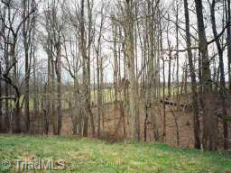 0 Browns Crossroads Road Staley, NC 27355 - Photo 2 of 8 Other.