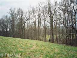 0 Browns Crossroads Road Staley, NC 27355 - Photo 5 of 8 Other.