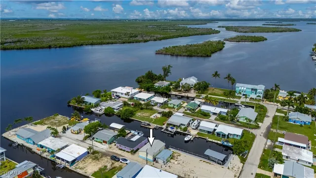 a view of a backyard with plants and wooden fence