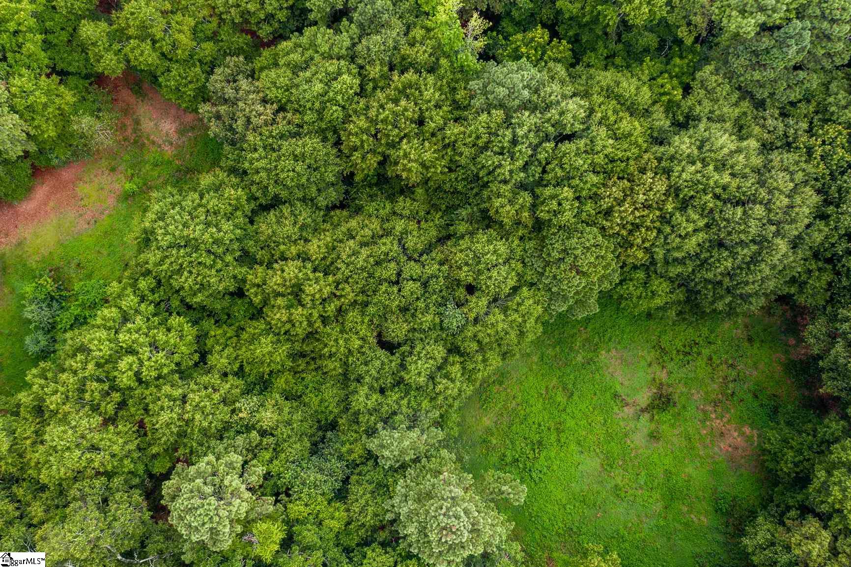 Tbd Thomas Welborn Road Anderson, SC 29625 - Photo 1 of 13