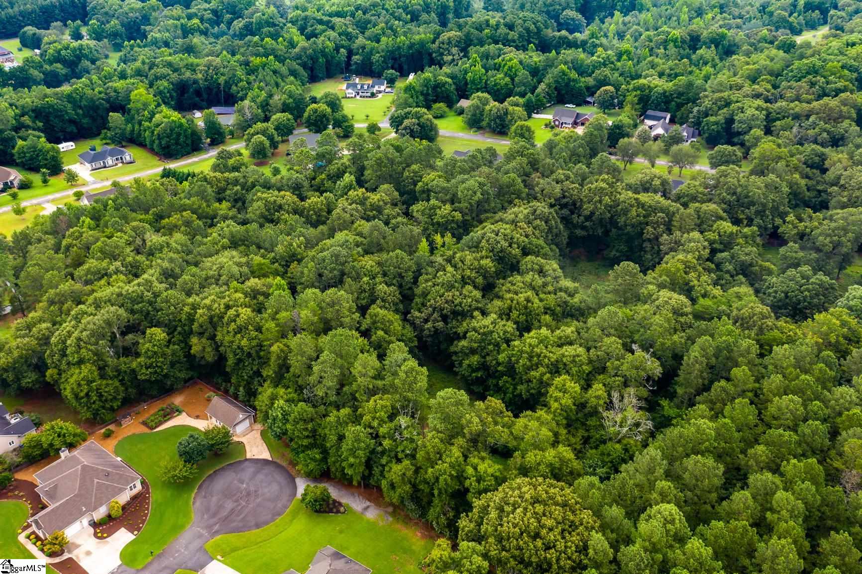 Tbd Thomas Welborn Road Anderson, SC 29625 - Photo 11 of 13