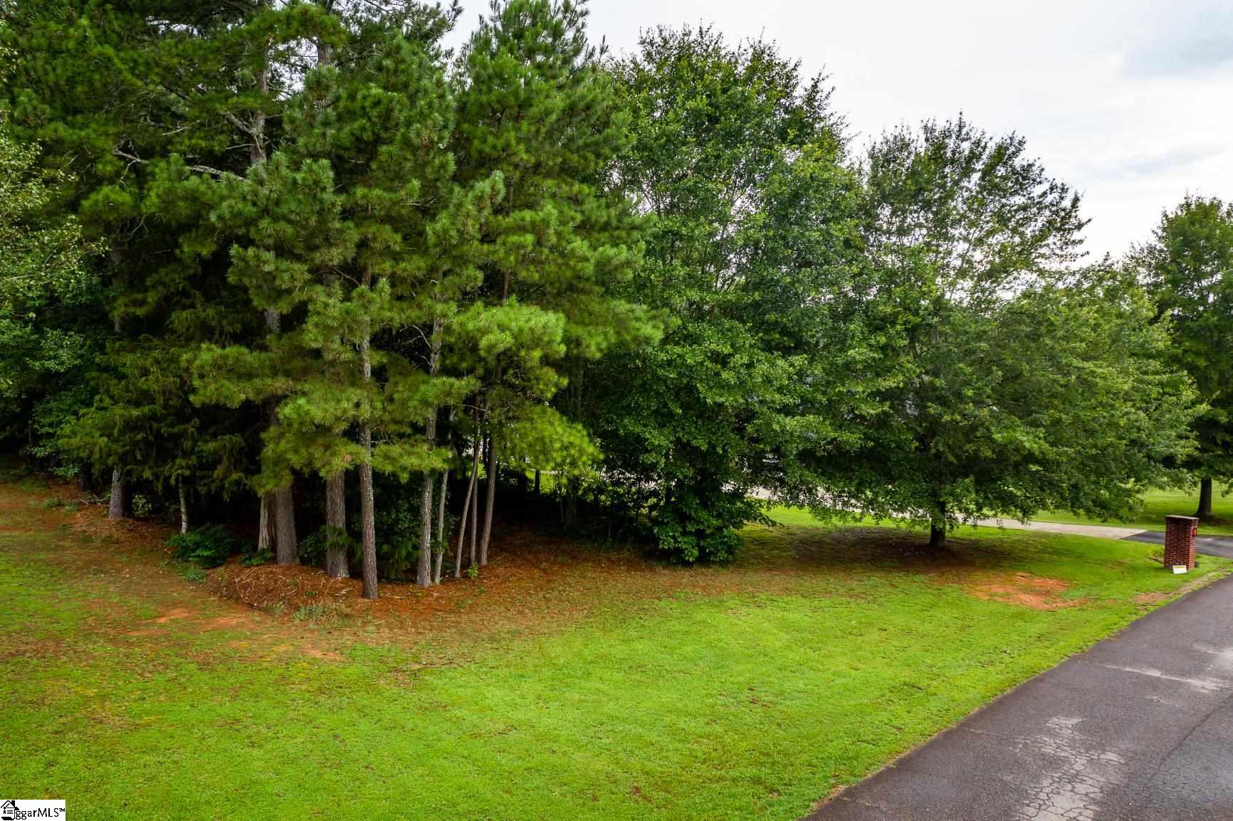 Tbd Thomas Welborn Road Anderson, SC 29625 - Photo 3 of 13