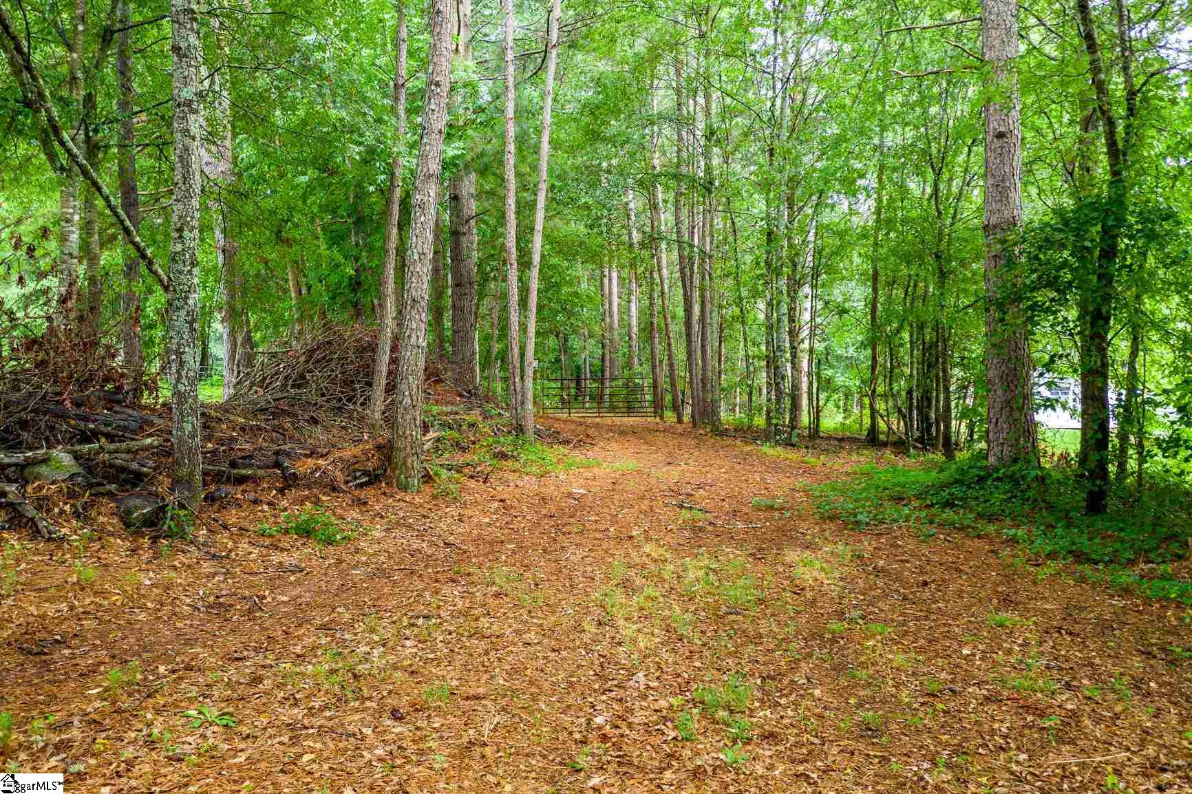 Tbd Thomas Welborn Road Anderson, SC 29625 - Photo 4 of 13